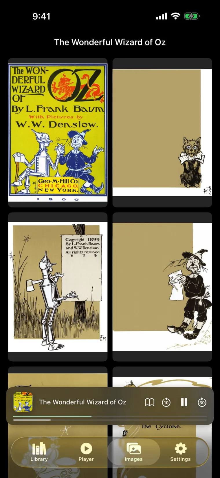 iOS image viewer — embedded illustrations grid